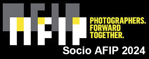 Logo Afip